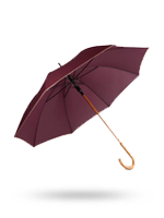 paraplu-img